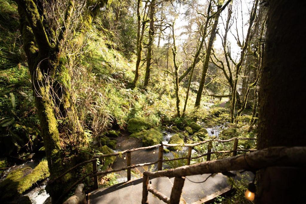 Taylor Creek Lodge Gold Beach Exteriér fotografie